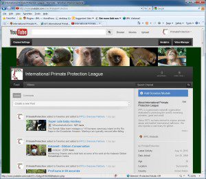 IPPL YouTube Screen Shot