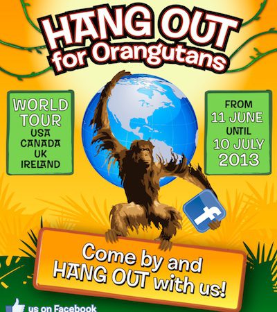 Hang Out For Orangutans poster