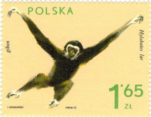 Poland gibbon stamp