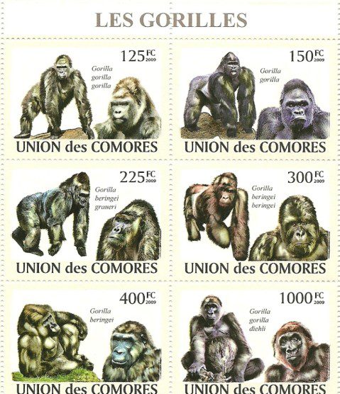 Les Gorilles-Comores stamps