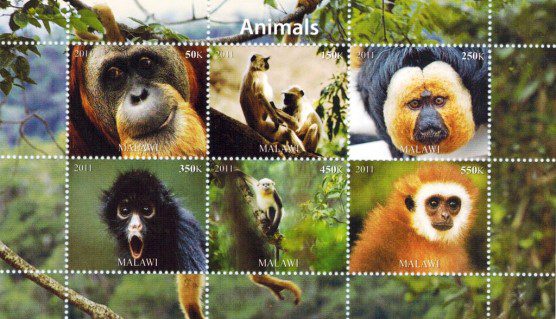 Malawi stamps 