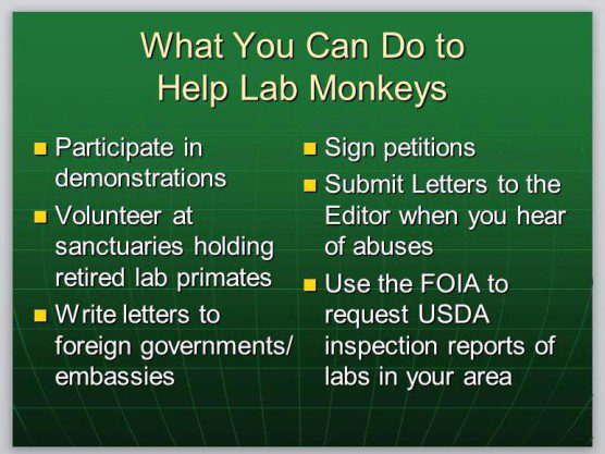 Slide from Shirley's AR2014 talk on monkey trade