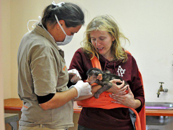 Molly Jorges helps vet nurse with Little Isaac