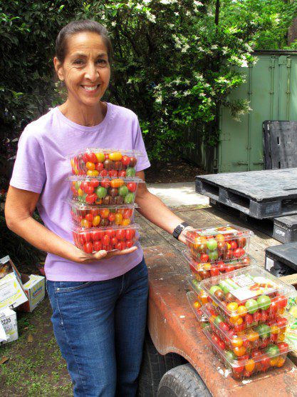 Volunteer Donna with Costco tomatoes