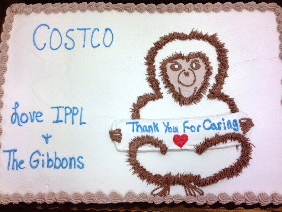 Costco gibbon cake