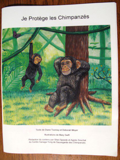 Sanaga-Yong children's chimp book