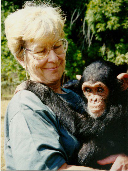 Renate Winch with Chimfunshi chimp