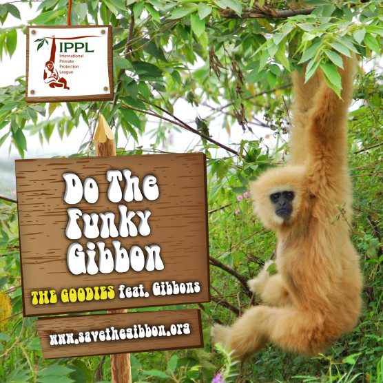 Funky Gibbon CD design