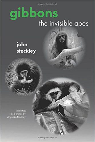 John Steckley-Gibbons The Invisible Apes