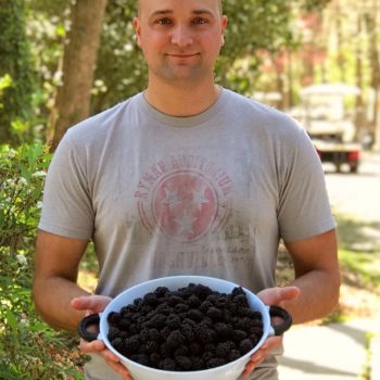 IPPL caregiver, Wes, shows some of the extra-large blackberries that were handed out to the gibbons as a special treat.