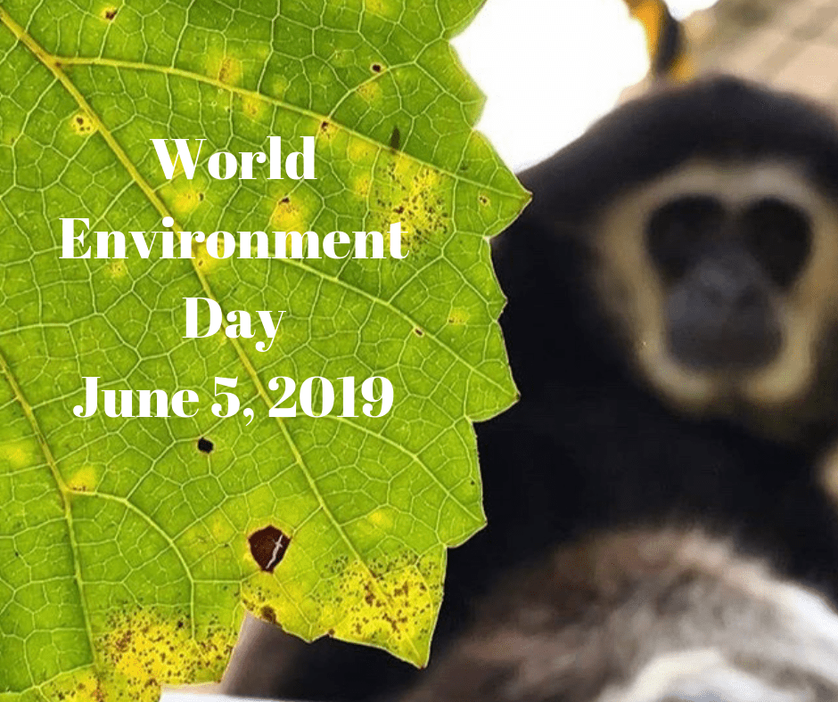 IPPL is commemorating World Environment Day