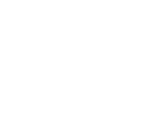IPPL Logo white -502