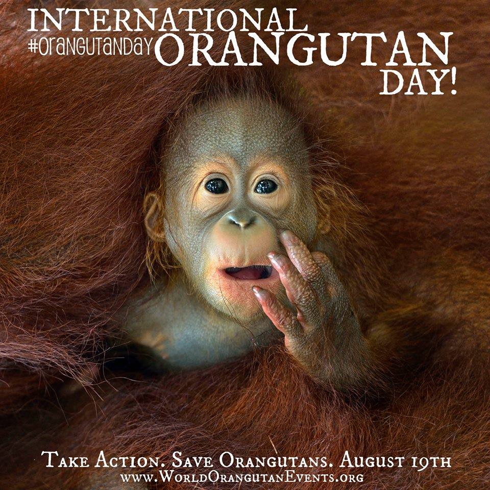 World-Orangutan-Day-Aug-19