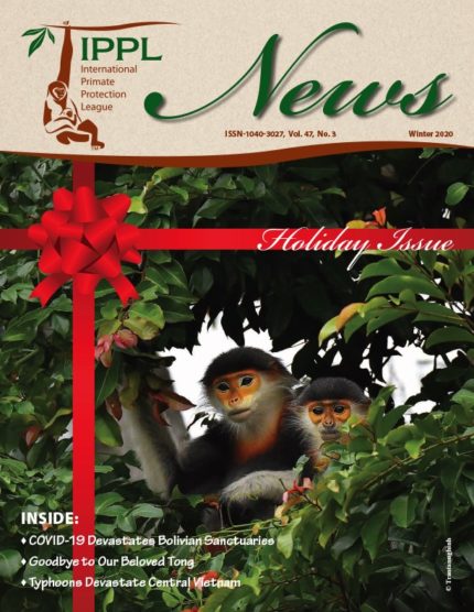 FINAL-COVER-AS-JPG-IPPL_News_1220_lores-cover-430x556