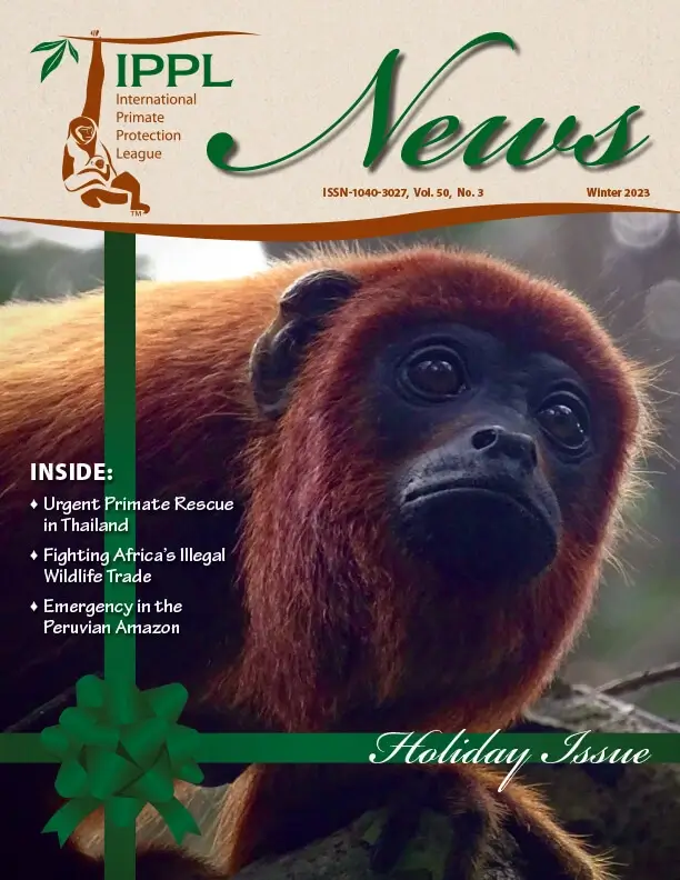 IPPL_News_Winter2023 cover (1) (1)