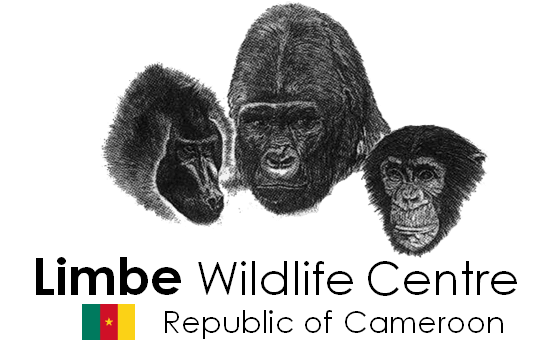 Limbe Wildlife Center