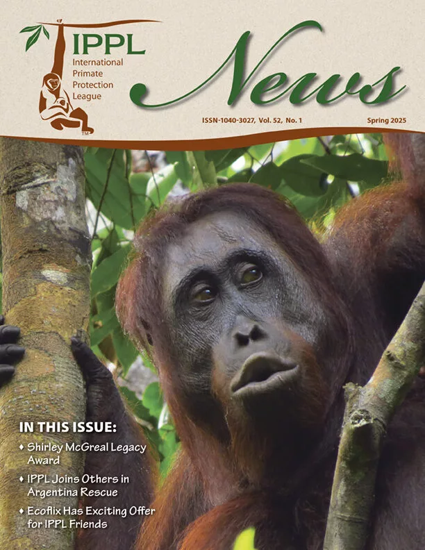 IPPL_News_Spring25 cover for Website