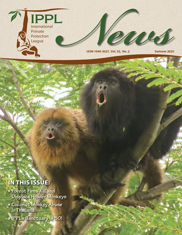 IPPL_News_Summer25