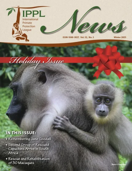 FINAL IPPL_News_Winter25 cover2 (3) (1)