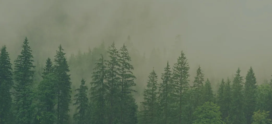 trees