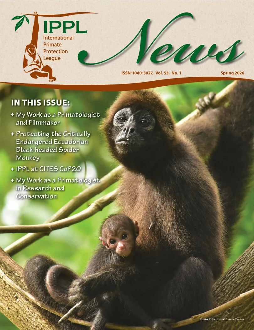 IPPL NEWS SPRING 2026 COVER