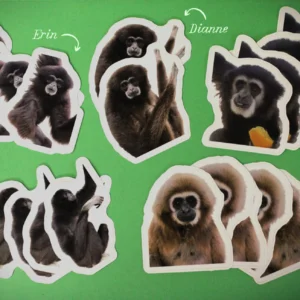 Gibbon Stickers!