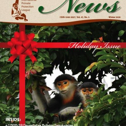 FINAL-COVER-AS-JPG-IPPL_News_1220_lores-cover