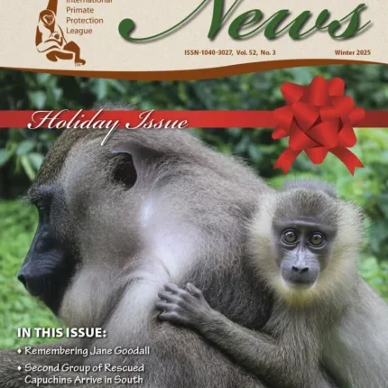 FINAL IPPL_News_Winter25 cover2 (3) (1)