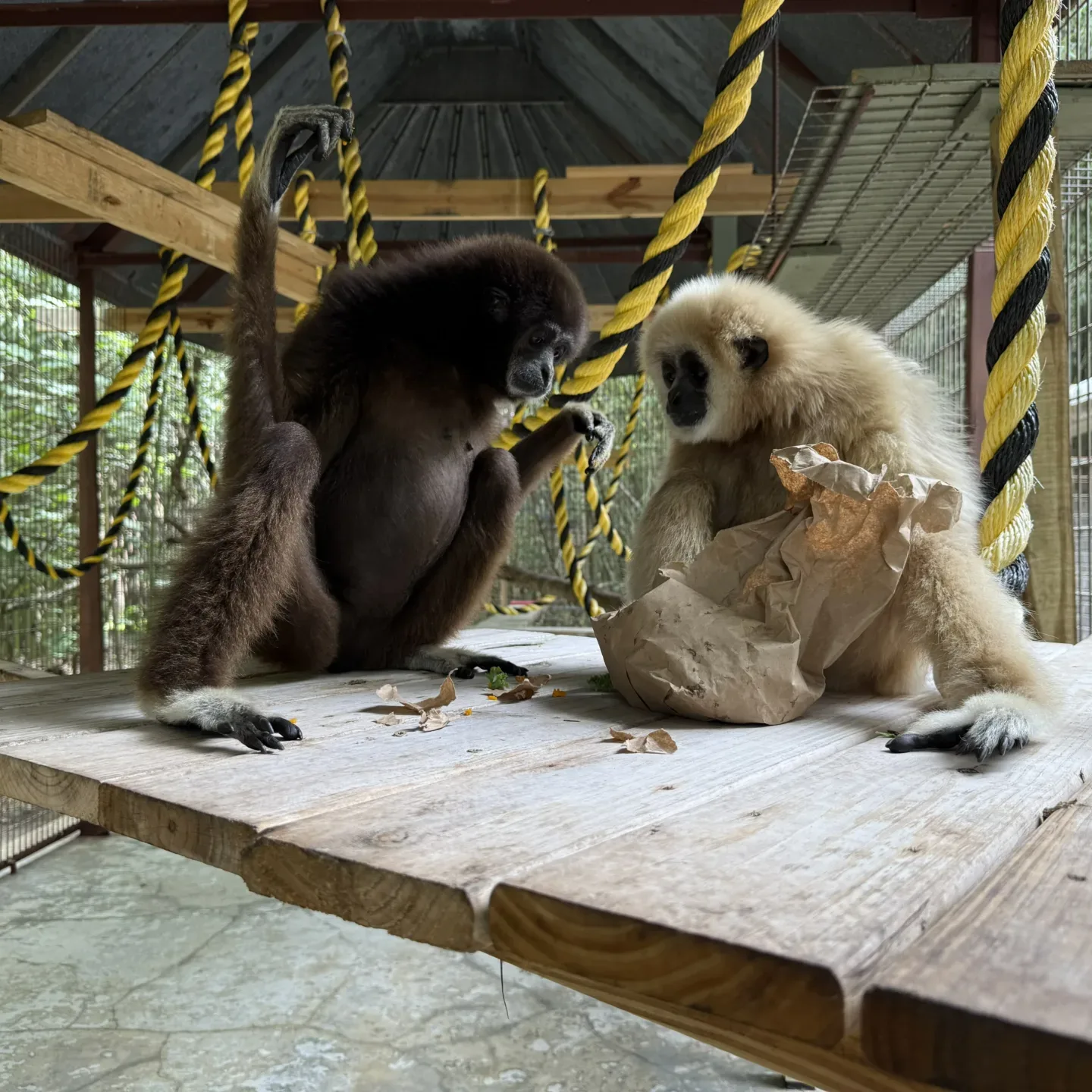 Gary and Dianne sharing enrichment 2