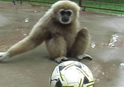 Maui with soccer ball