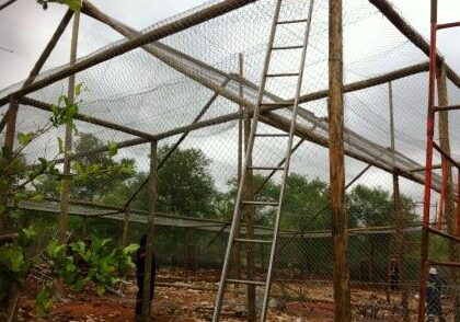New construction at C.A.R.E.