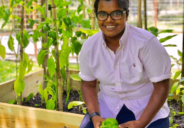 Kajal IPPL Garden