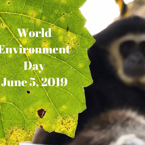 IPPL is commemorating World Environment Day