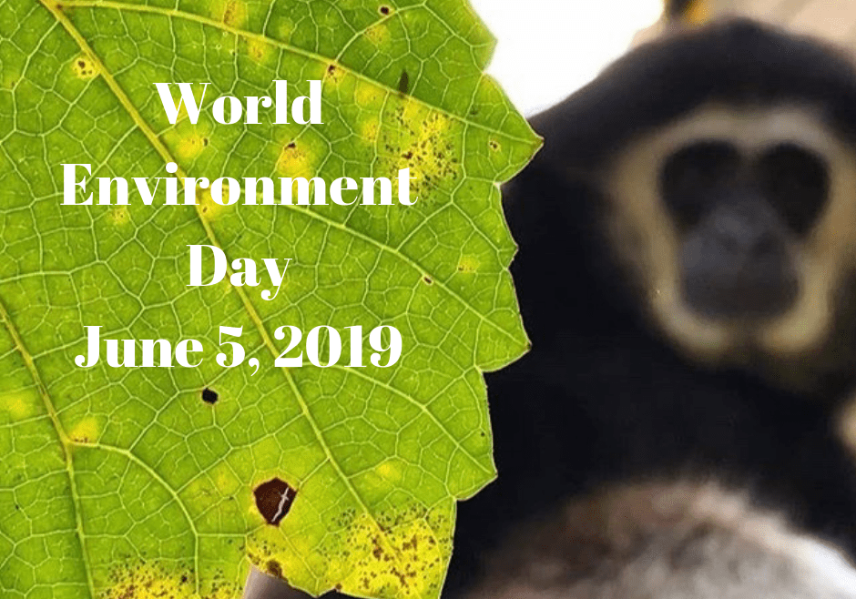 World Environment Day June 5, 2019 IPPL is commemorating World Environment Day