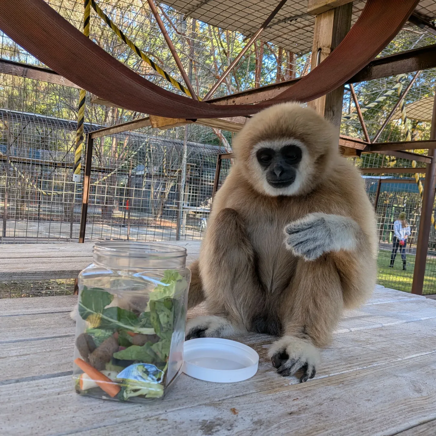 spanky with enrichment